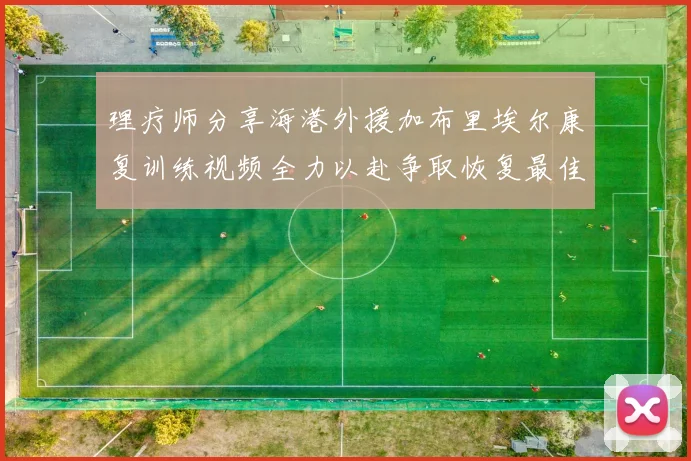 理疗师分享海港外援加布里埃尔康复训练视频全力以赴争取恢复最佳状态